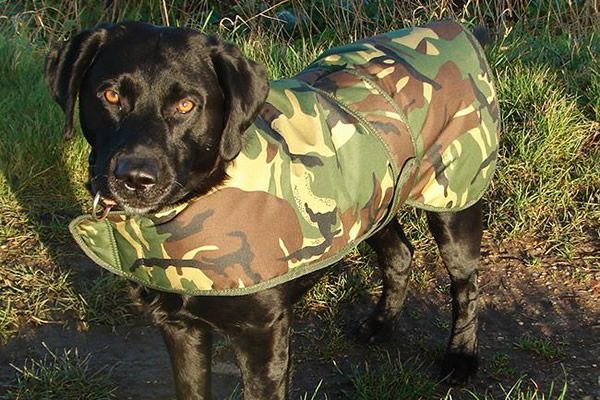 camo dog coat